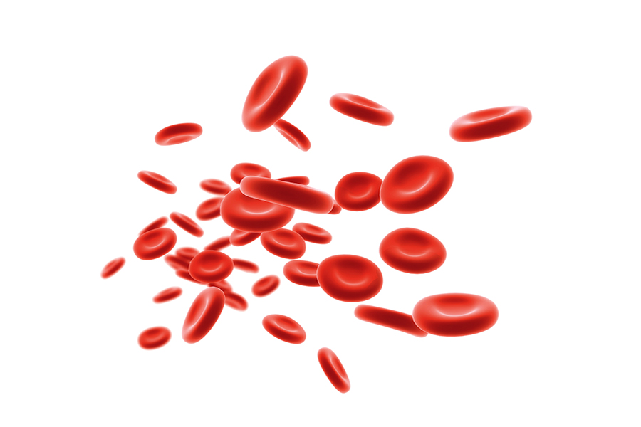 Blood Cells