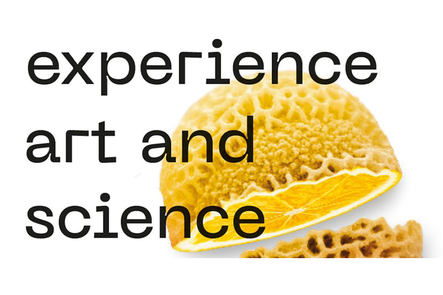SICHH_Experience Science and Art_900x600 SICHH_Experience Science and Art_900x600
