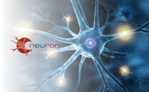 Neuron - call for project