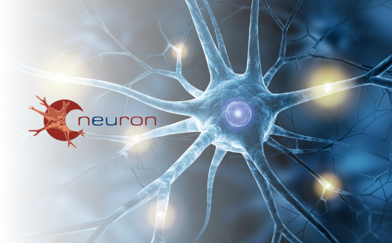 Neuron - call for project Neuron - call for project