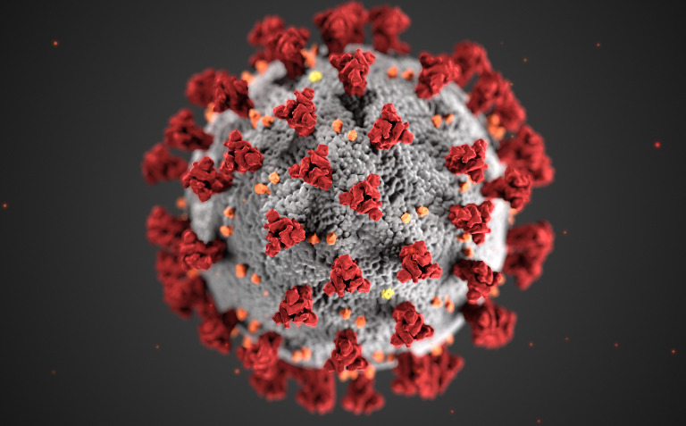Virus Grippe
