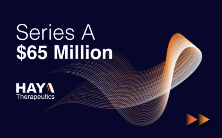 Haya Series A Haya Series A