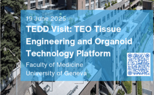 TEDD Visit