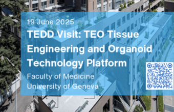 TEDD Visit