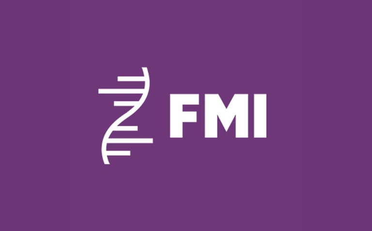 FMI FMI