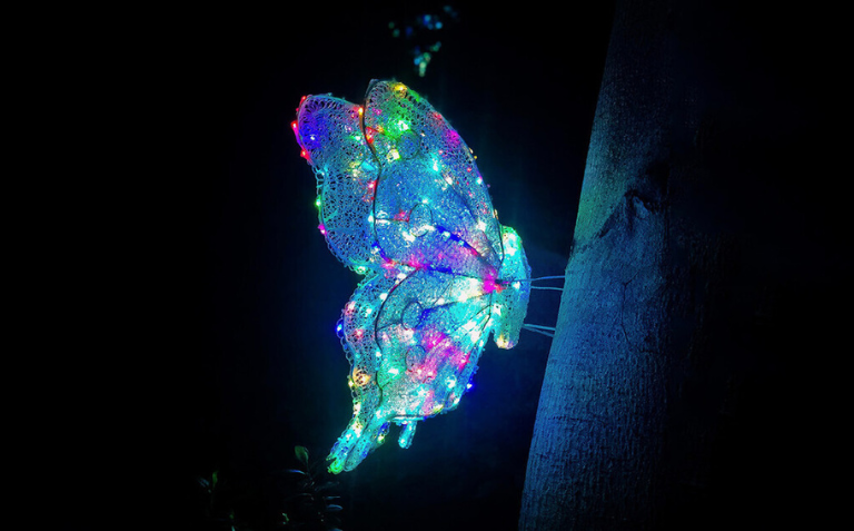 Age Innovation Prize