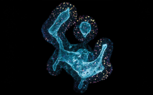 Latsis Symposium
